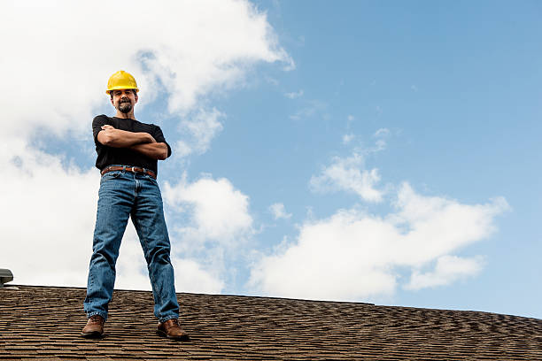 Best Roof Gutter Cleaning  in Appomattox, VA
