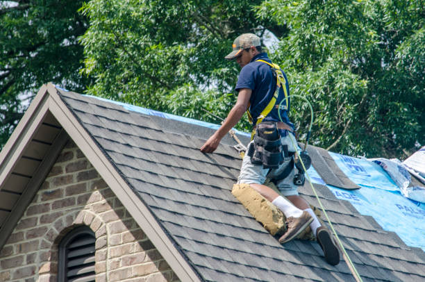 Best New Roof Installation  in Appomattox, VA